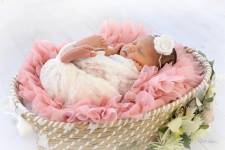 Elodie LAZAR - LAZAR PHOTOGRAPHIE