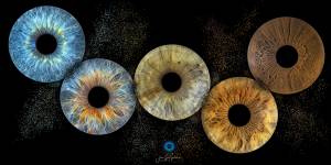 Jean-Luc GUILLEMIN - EURL JLG PHOTOREFLEX